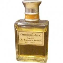 Abercrombie & Fitch Brier Abercrombie & Fitch Aftershave parfüm şişesi