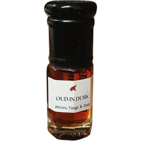 Oud in Dusk