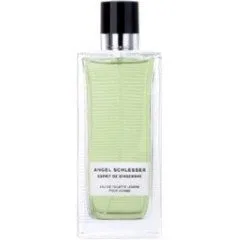 Angel Schlesser Esprit De Gingembre Pour Homme parfüm şişesi