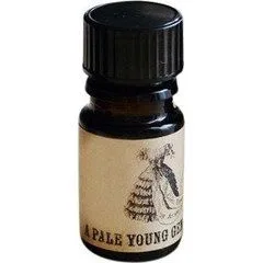 A Pale Young Gentleman