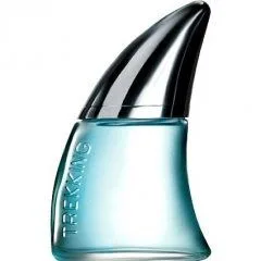Avon Trekking parfüm şişesi