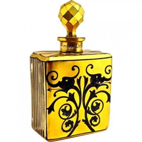 Ambre de Delhi