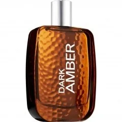 Bath & Body Works Dark Amber parfüm şişesi