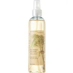 Bath & Body Works Rice Flower And Shea parfüm şişesi