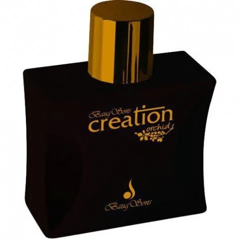 Creation Orchid