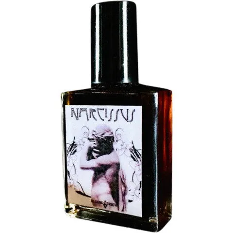 Narcissus