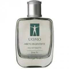 Abete Argentato