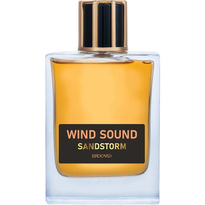 Wind Sound - Sandstorm