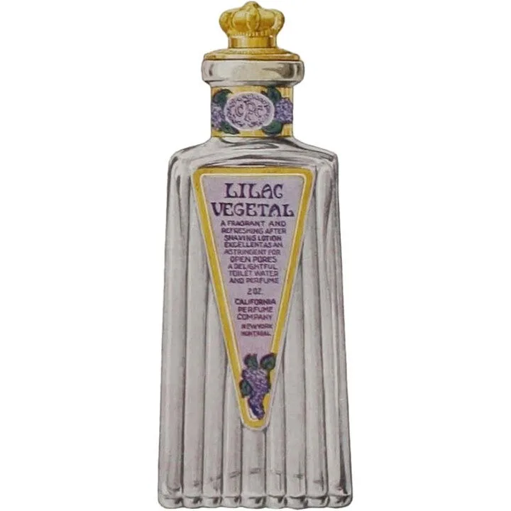Lilac Vegetal