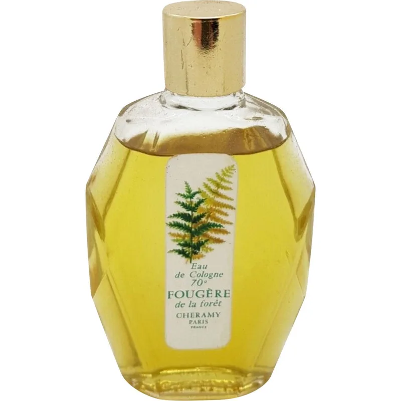 Fougère de la Forêt