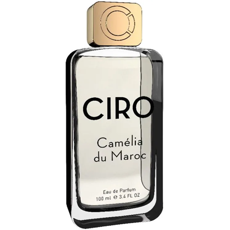 Camélia du Maroc