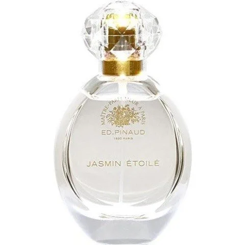 Jasmin Étoilé