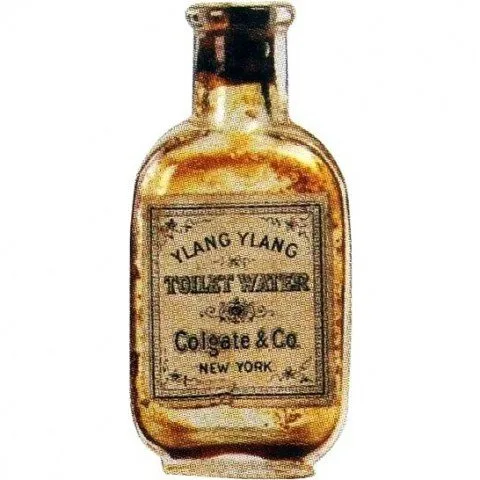 Ylang Ylang
