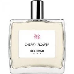 Rose Flower