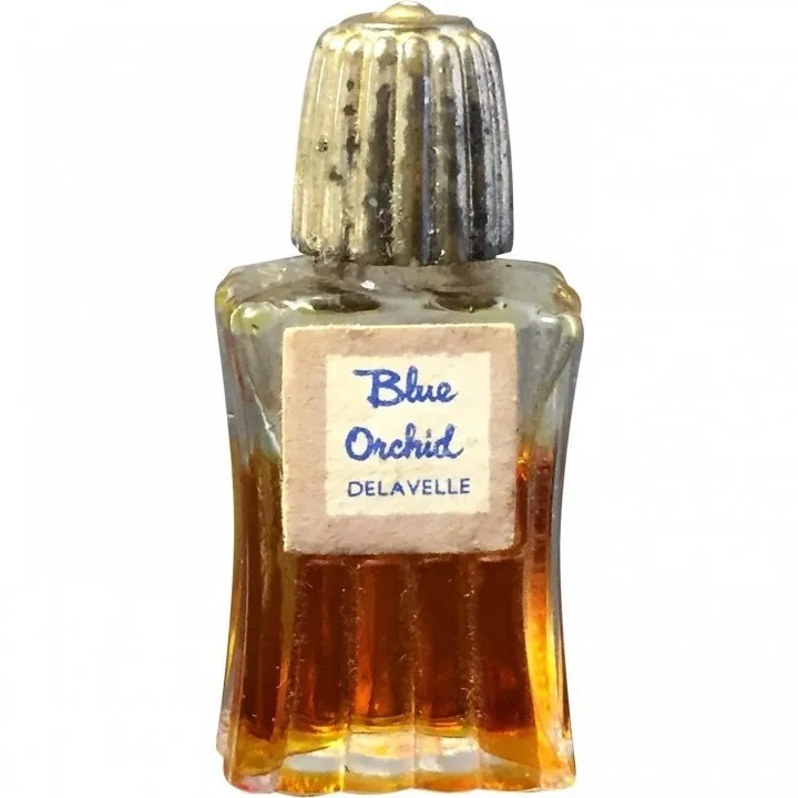 Blue Orchid