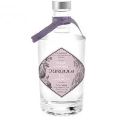 Figue Lavande Fig Lavender