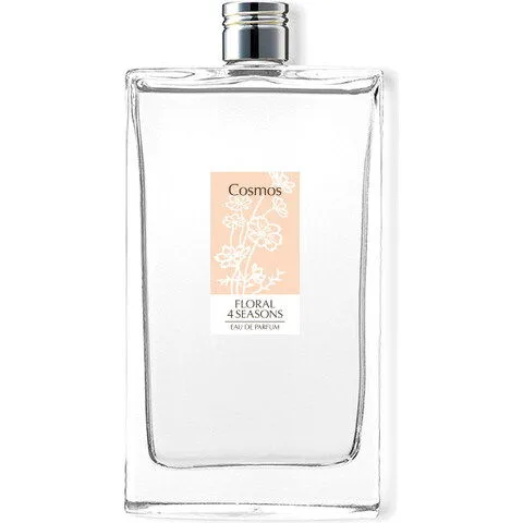 Cosmos 秋桜