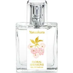 Yaezakura 八重桜