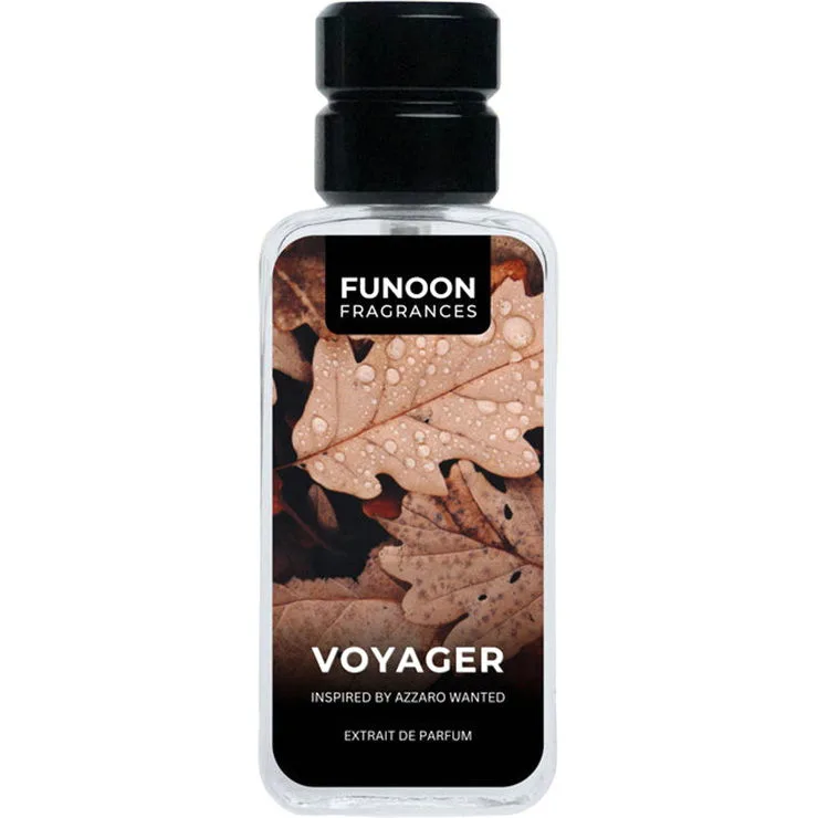 Voyager