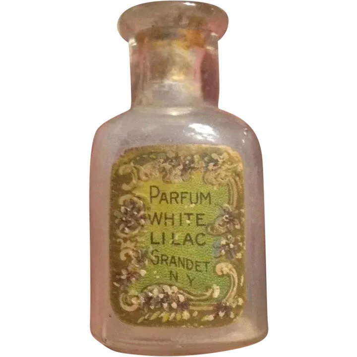White Lilac