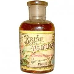 Brise Vanda