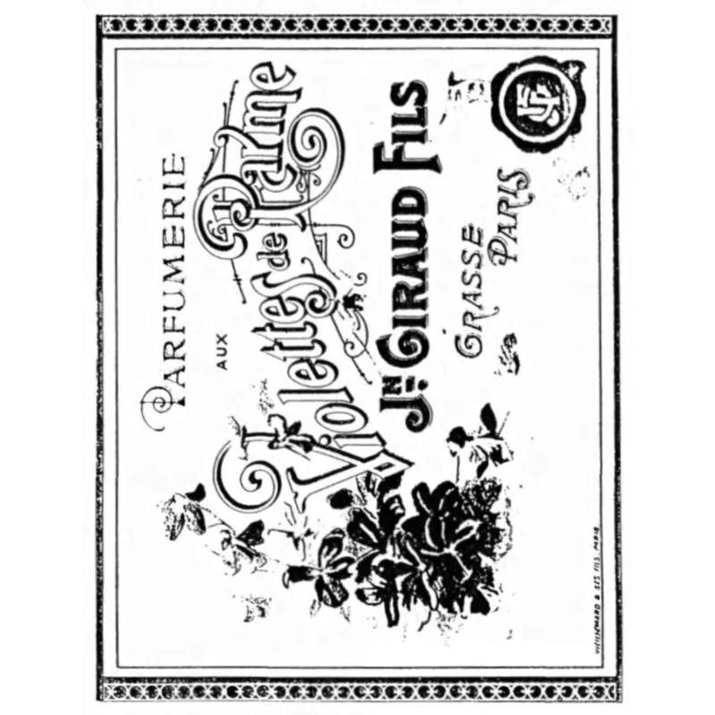 Violettes de Parme