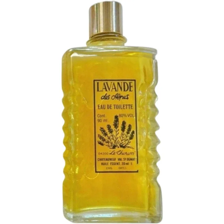 Lavande des Alpes