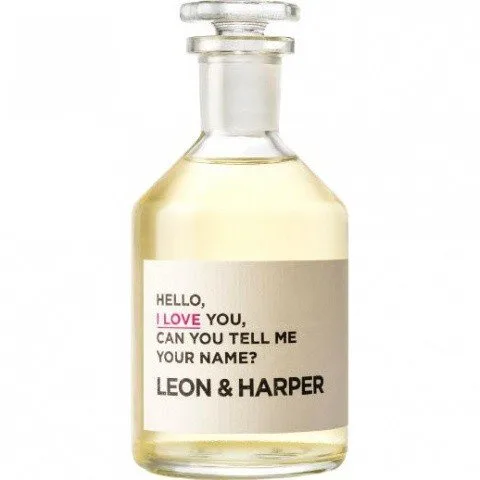Hello, I Love You, Can You Tell Me Your Name?