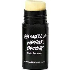 The Smell of Weather Turning Lush Solid Perfume