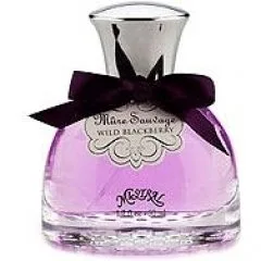 Mûre Sauvage Wild Blackberry