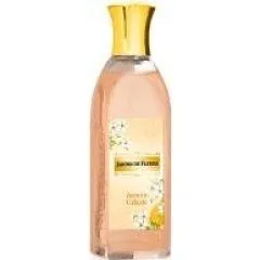Jardin de Fleurs - Jasmin Céleste