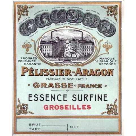 Essence Surfine Groseilles