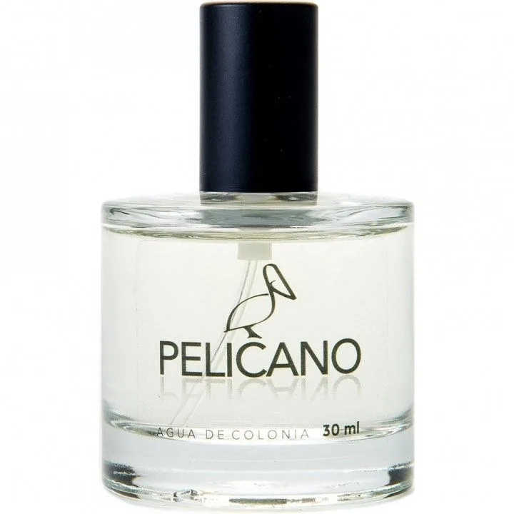 Pelicano para Él