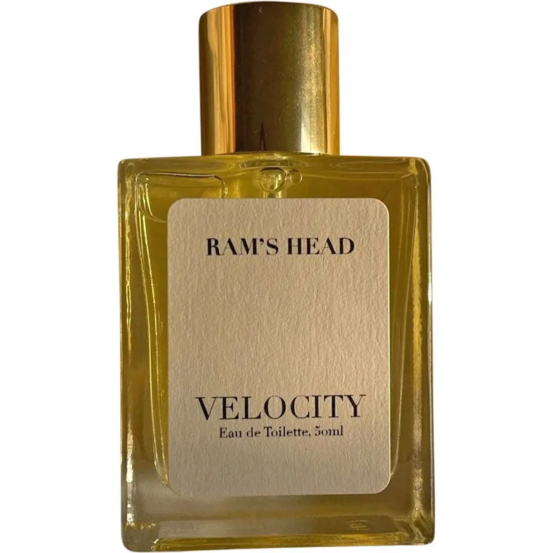 Velocity
