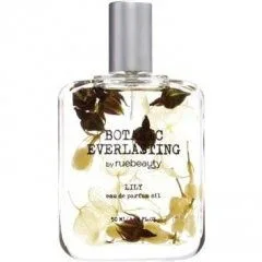 Botanic Everlasting - Lily