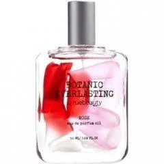 Botanic Everlasting - Rose