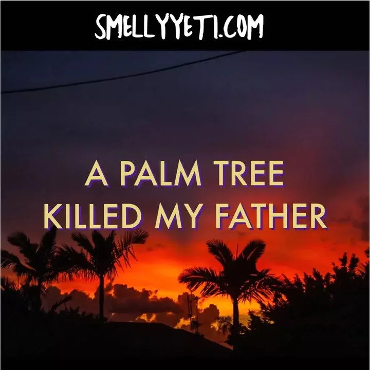 A Palm Tree Killed My Father