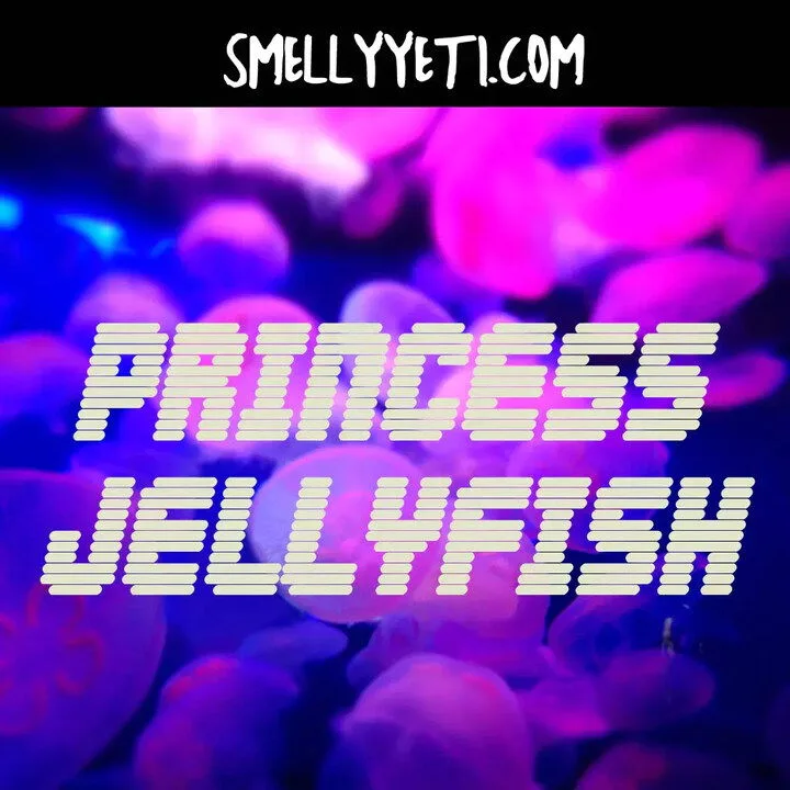 Princess Jellyfish