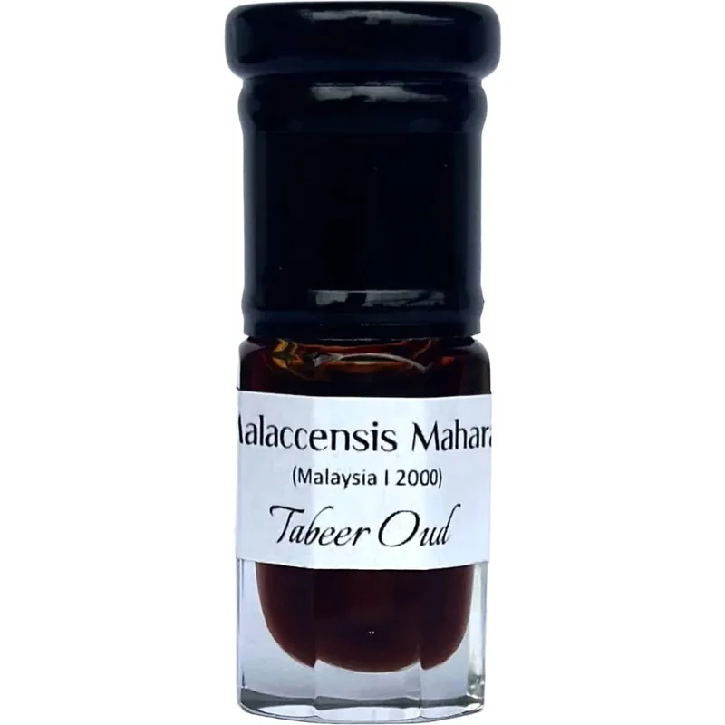 Malaccensis Maharaj
