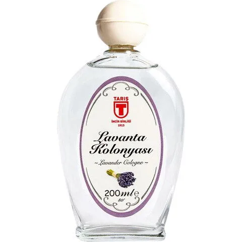 Lavanta Kolonyası
