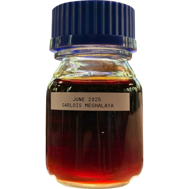 The Rising Phoenix Perfumery Garlois 2025 parfüm şişesi