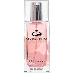 Orchidee