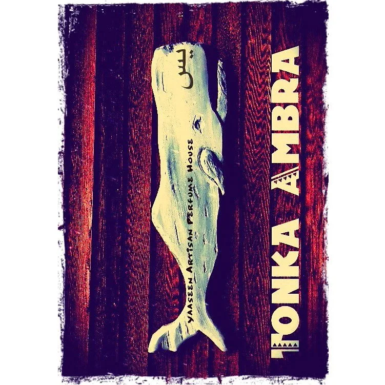 Tonka Ambra