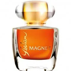 Magnet