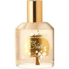 Fleur de Noël - Fleur Féerique