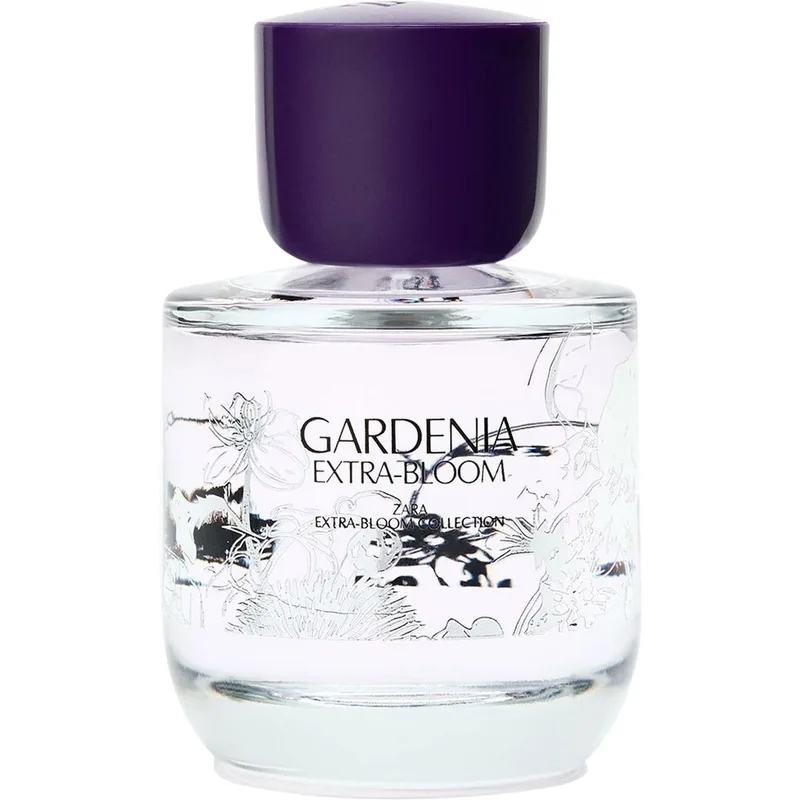 Gardenia Extra-Bloom